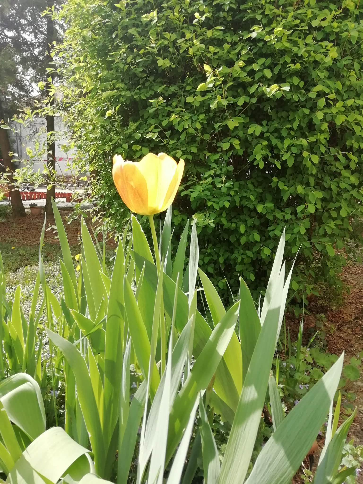 „Jöjj hát, tavasz! Sarjadjatok, vetések!”