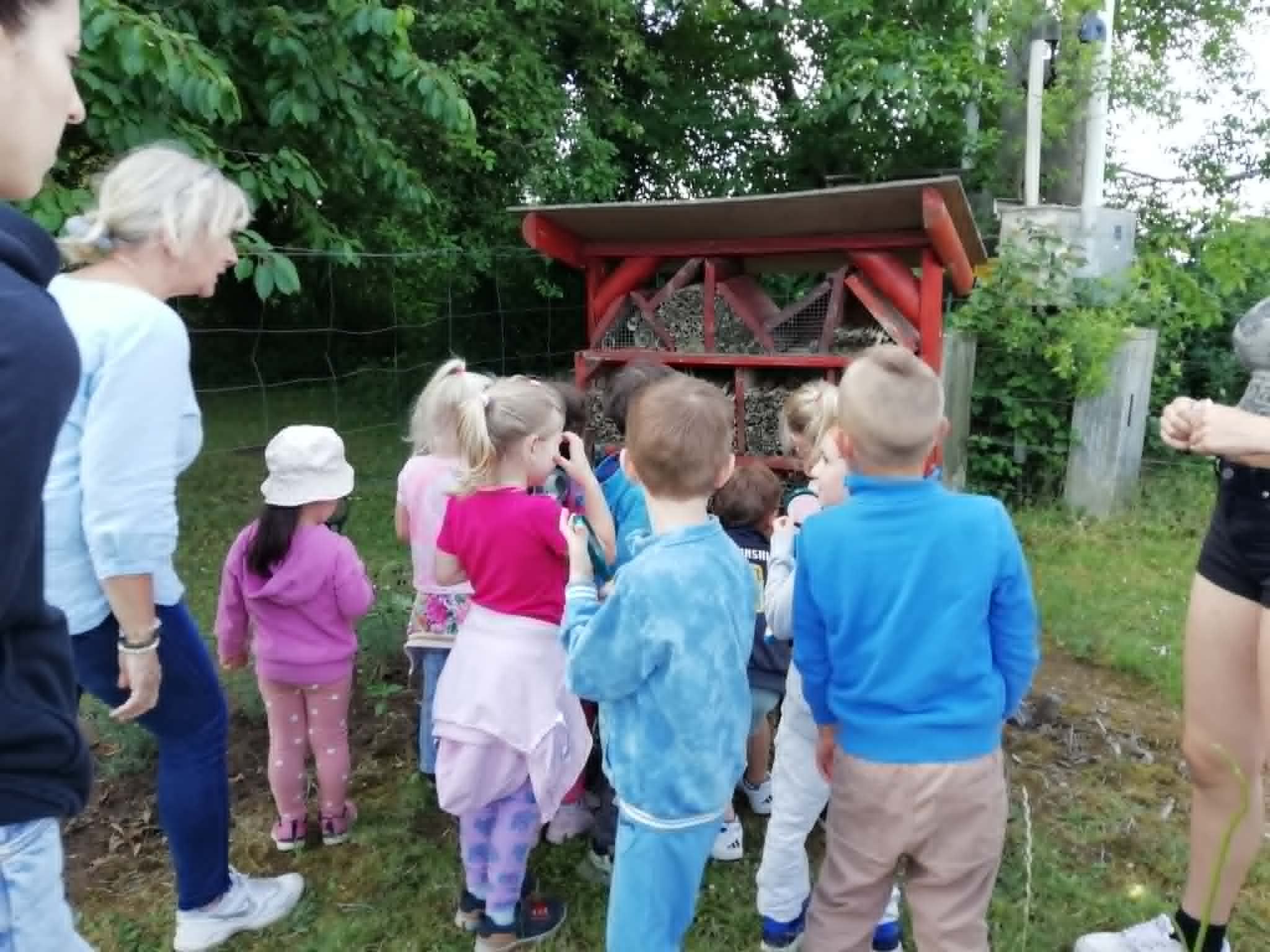 Kis vendégek a kertben