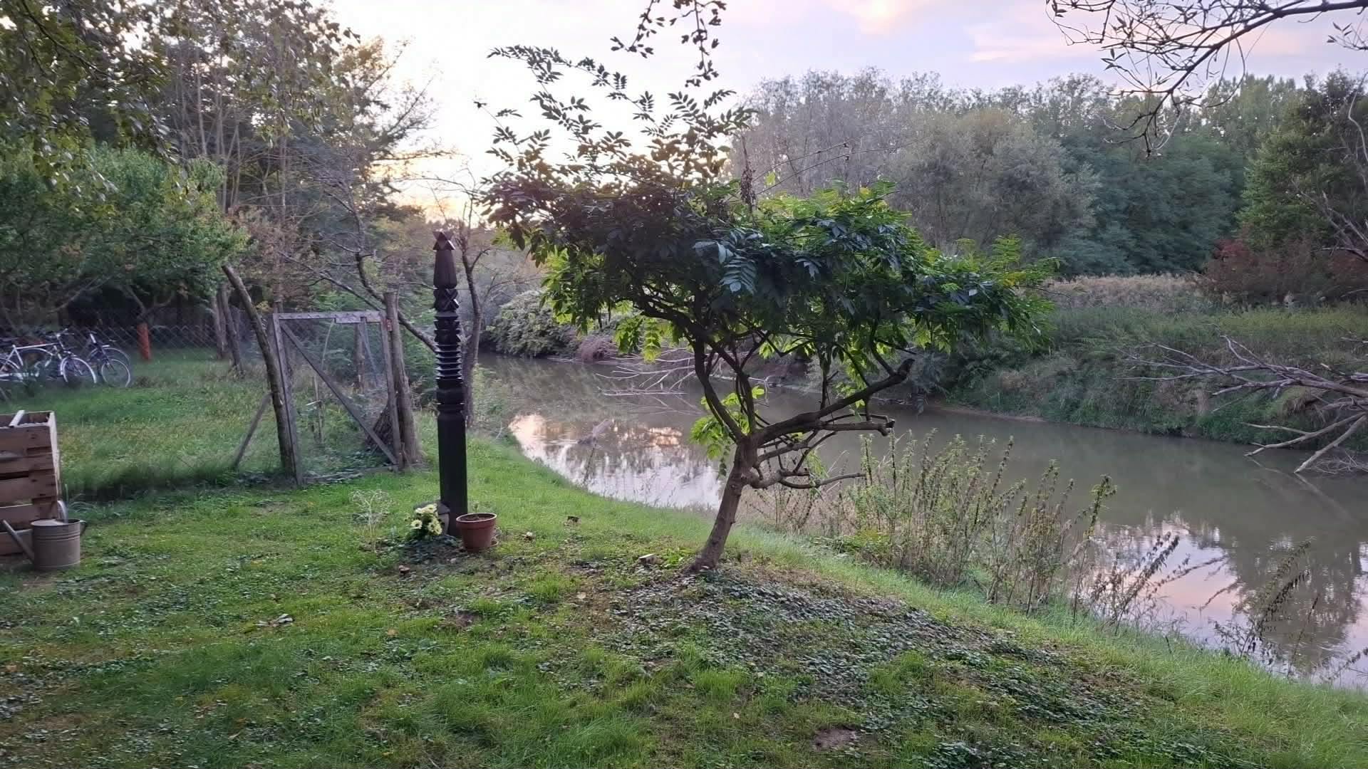 Szarvasbőgés – hallgatás a Rába parton